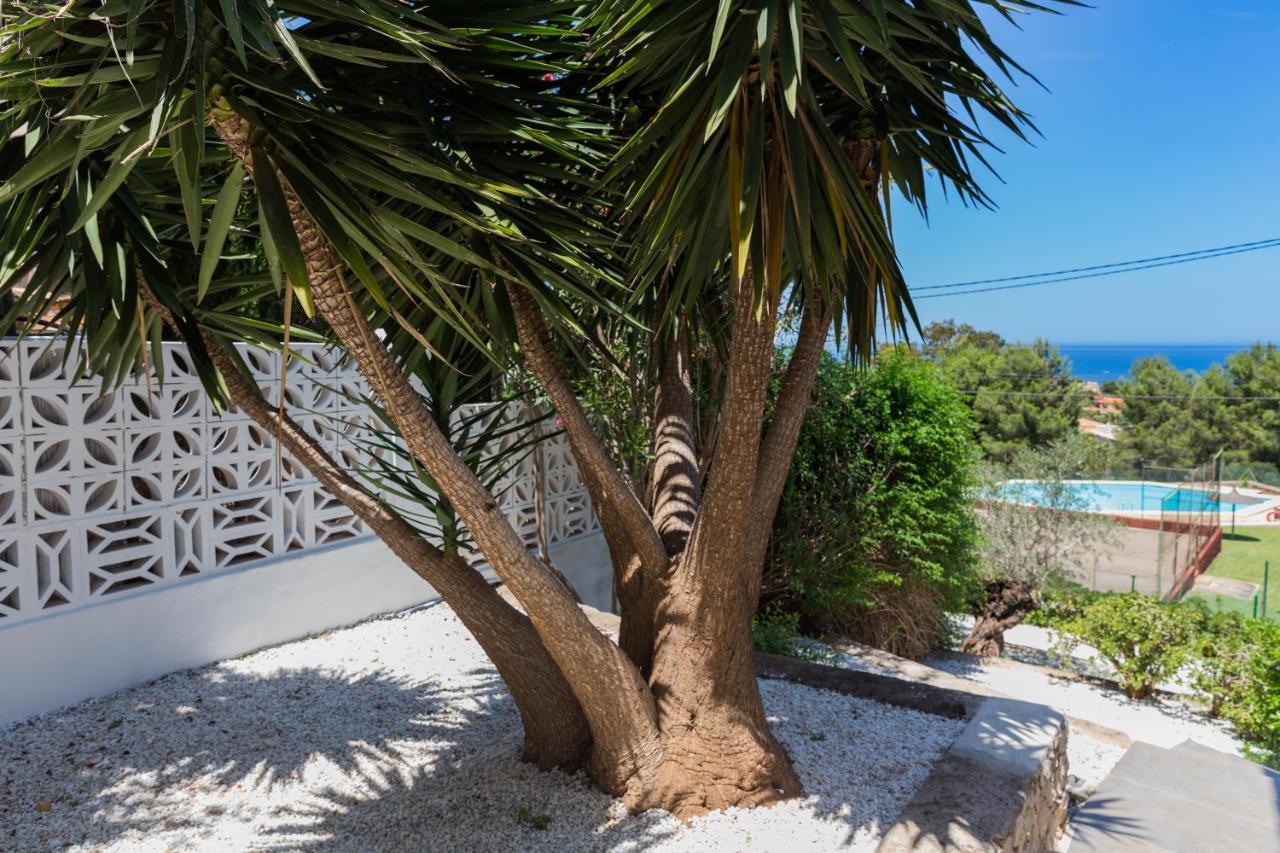 Villa Siesta 德尼亚 外观 照片